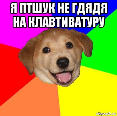 я птшук не гдядя на клавтиватуру , Мем Advice Dog