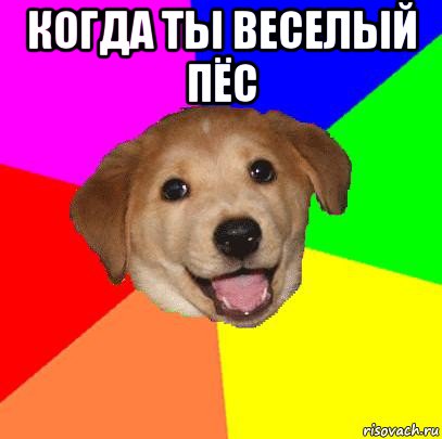 когда ты веселый пёс , Мем Advice Dog