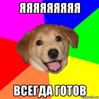 яяяяяяяяя всегда готов, Мем Advice Dog