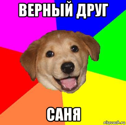 верный друг саня, Мем Advice Dog