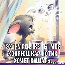 Эх, ну где же ты моя хозяюшка? Котик хочет кушать.