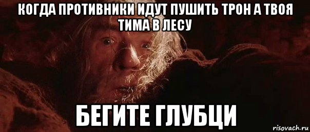 когда противники идут пушить трон а твоя тима в лесу бегите глубци, Мем бегите глупцы