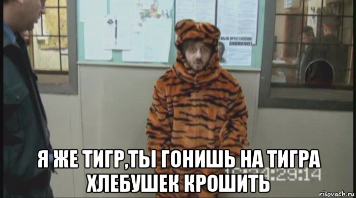  я же тигр,ты гонишь на тигра хлебушек крошить, Мем Бородач в костюме тигра (Наша Раша)
