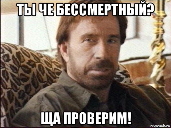 ты че бессмертный? ща проверим!, Мем чак норрис