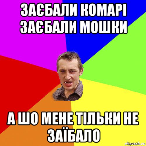 заєбали комарі заєбали мошки а шо мене тільки не заїбало, Мем Чоткий паца