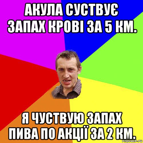 акула суствує запах крові за 5 км. я чуствую запах пива по акції за 2 км., Мем Чоткий паца