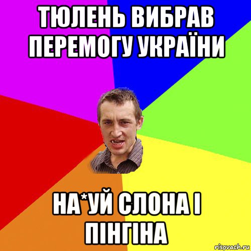 тюлень вибрав перемогу україни на*уй слона і пінгіна, Мем Чоткий паца