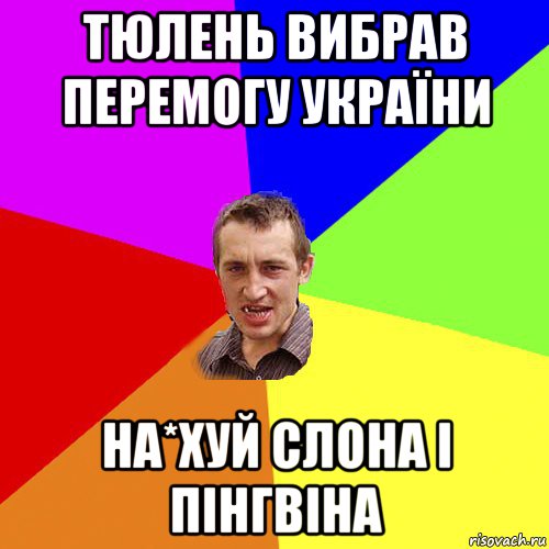 тюлень вибрав перемогу україни на*хуй слона і пінгвіна, Мем Чоткий паца