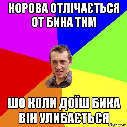 корова отлічається от бика тим шо коли доїш бика він улибається, Мем Чоткий паца