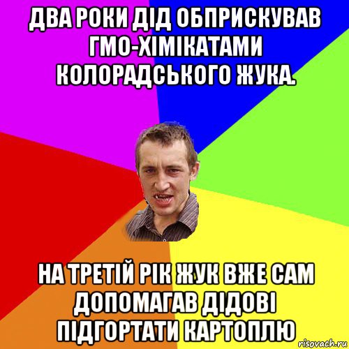 два роки дід обприскував гмо-хімікатами колорадського жука. на третій рік жук вже сам допомагав дідові підгортати картоплю, Мем Чоткий паца