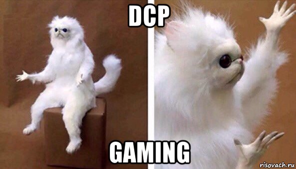 dcp gaming, Мем Чучело кота