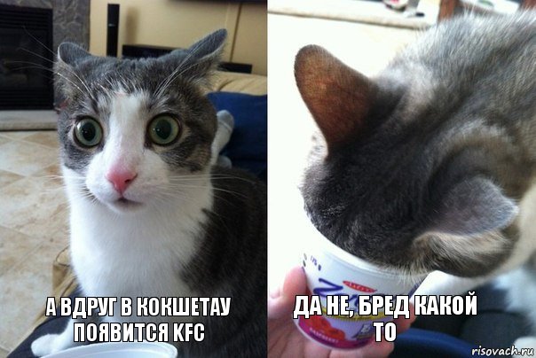 а вдруг в кокшетау появится KFC да не, бред какой то, Комикс  Да не бред-какой-то (2 зоны)