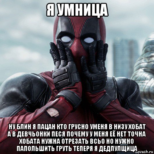 я умница ну блин я пацан кто грусно уменя в низу хобат а в девчьонки песя почему у меня её нет точна хобата нужна отрезать всьо но нужно папольшить груть теперя я дедпулщица, Мем     Дэдпул