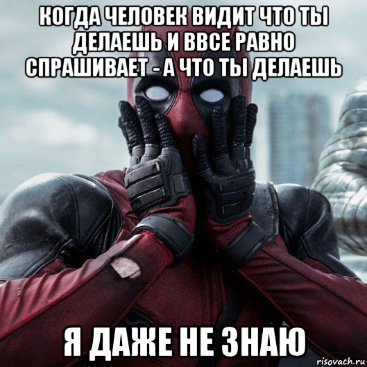 когда человек видит что ты делаешь и ввсе равно спрашивает - а что ты делаешь я даже не знаю, Мем     Дэдпул