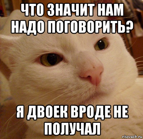 что значит нам надо поговорить? я двоек вроде не получал, Мем Дерзкий котэ