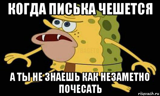 когда писька чешется а ты не знаешь как незаметно почесать, Мем Дикий спанч боб