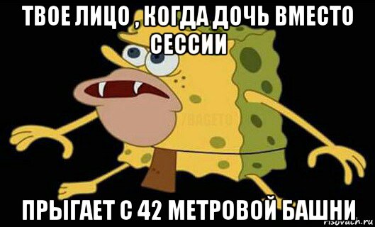 твое лицо , когда дочь вместо сессии прыгает с 42 метровой башни, Мем Дикий спанч боб