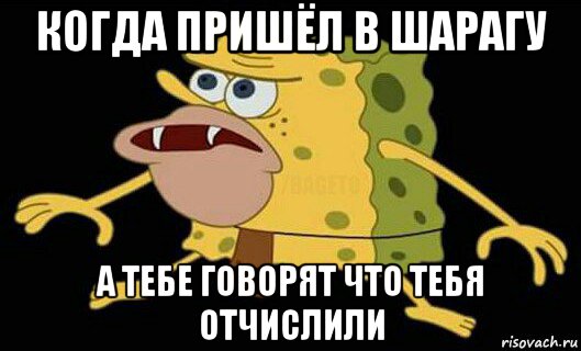 когда пришёл в шарагу а тебе говорят что тебя отчислили, Мем Дикий спанч боб