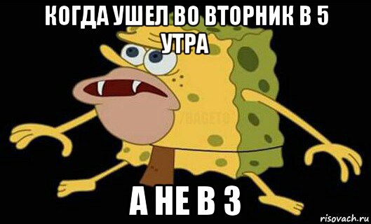 когда ушел во вторник в 5 утра а не в 3, Мем Дикий спанч боб