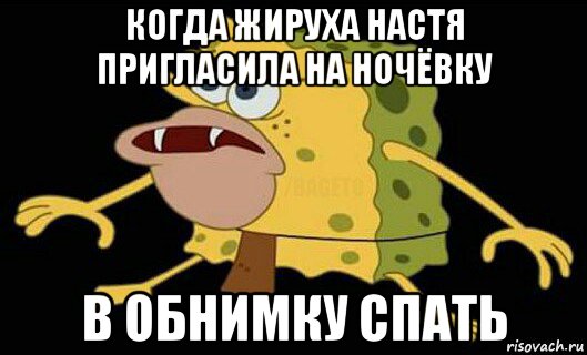 когда жируха настя пригласила на ночёвку в обнимку спать, Мем Дикий спанч боб