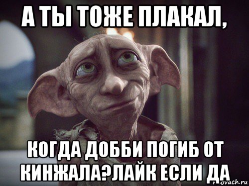 а ты тоже плакал, когда добби погиб от кинжала?лайк если да, Мем    Добби свободен