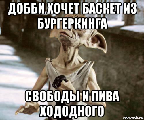 добби хочет баскет из бургеркинга свободы и пива хододного