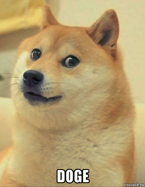  doge, Мем doge woof