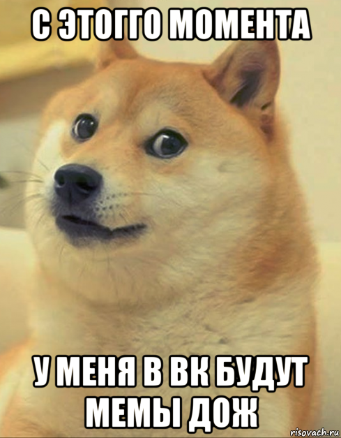 с этогго момента у меня в вк будут мемы дож, Мем doge woof