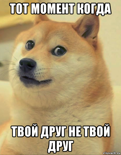 тот момент когда твой друг не твой друг, Мем doge woof