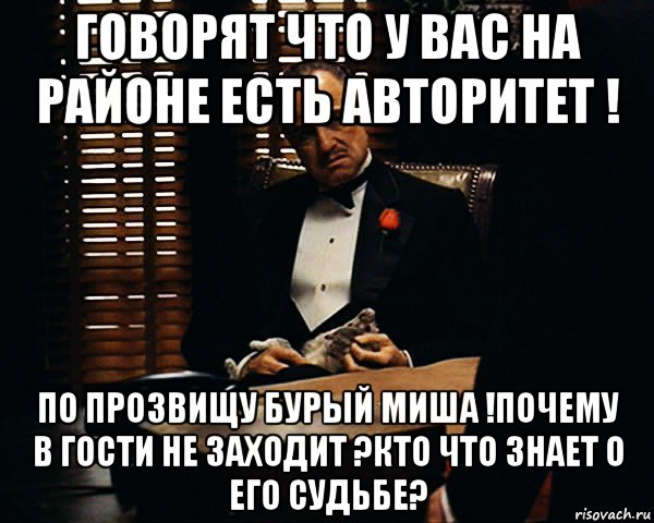 говорят что у вас на районе есть авторитет ! по прозвищу бурый миша !почему в гости не заходит ?кто что знает о его судьбе?, Мем Дон Вито Корлеоне