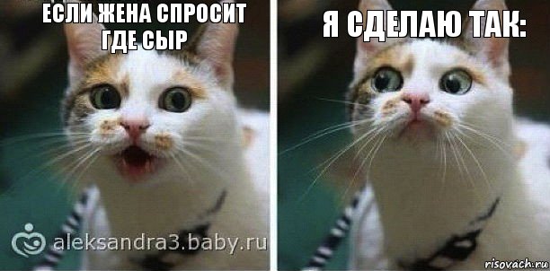 если жена спросит
где сыр я сделаю так: