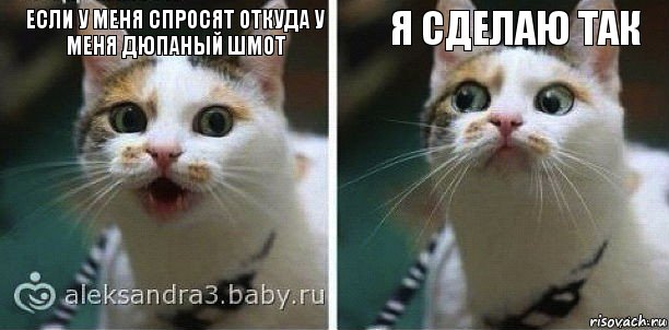 Если у меня спросят откуда у меня дюпаный шмот я сделаю так