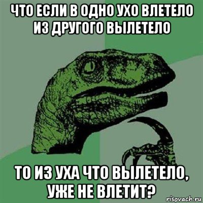 что если в одно ухо влетело из другого вылетело то из уха что вылетело, уже не влетит?, Мем Филосораптор