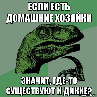 если есть домашние хозяйки значит, где-то существуют и дикие?, Мем Филосораптор