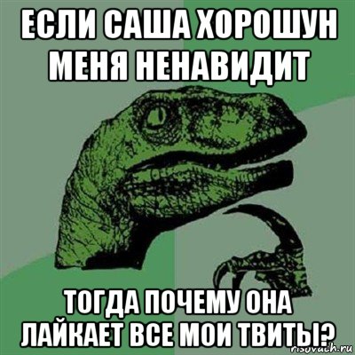 если саша хорошун меня ненавидит тогда почему она лайкает все мои твиты?, Мем Филосораптор