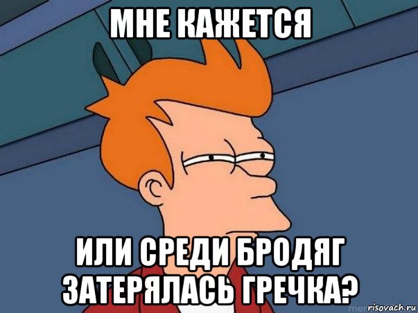 мне кажется или среди бродяг затерялась гречка?, Мем  Фрай (мне кажется или)