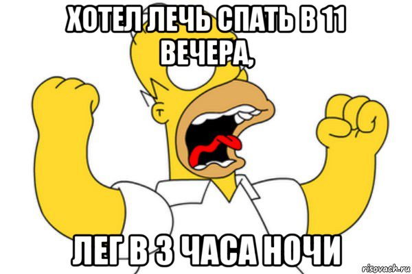 хотел лечь спать в 11 вечера, лег в 3 часа ночи, Мем Разъяренный Гомер