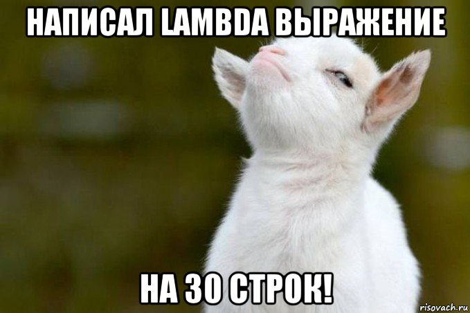 написал lambda выражение на 30 строк!, Мем  Гордый козленок