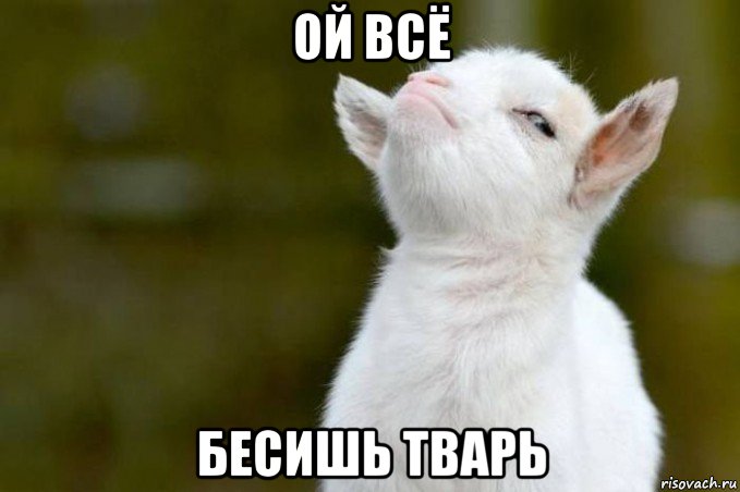 ой всё бесишь тварь