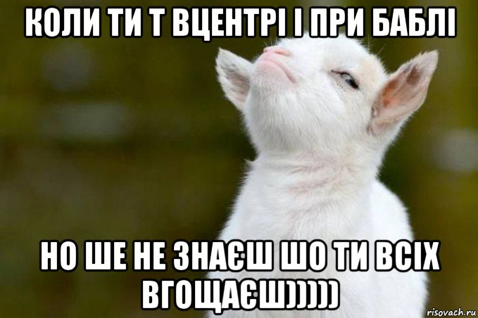 коли ти т вцентрі і при баблі но ше не знаєш шо ти всіх вгощаєш))))), Мем  Гордый козленок