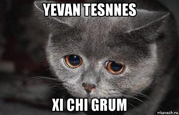 yevan tesnnes xi chi grum, Мем  Грустный кот