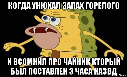 когда унюхал запах горелого и всомнил про чайник кторый был поставлен 3 часа назвд, Мем Губка Боб дикарь