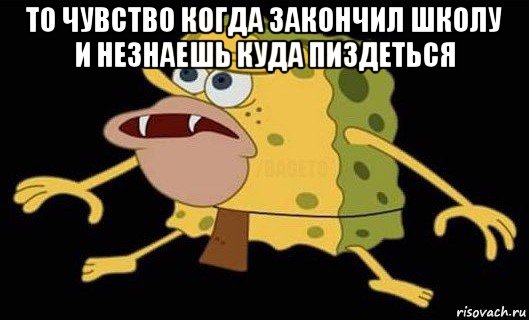 то чувство когда закончил школу и незнаешь куда пиздеться , Мем Губка Боб дикарь