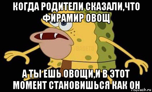 когда родители сказали,что фирамир овощ а ты ешь овощи,и в этот момент становишься как он