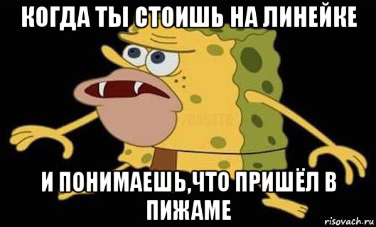 когда ты стоишь на линейке и понимаешь,что пришёл в пижаме, Мем Губка Боб дикарь