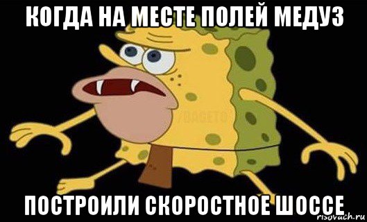 когда на месте полей медуз построили скоростное шоссе, Мем Губка Боб дикарь