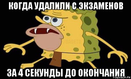 когда удалили с экзаменов за 4 секунды до окончания, Мем Губка Боб дикарь