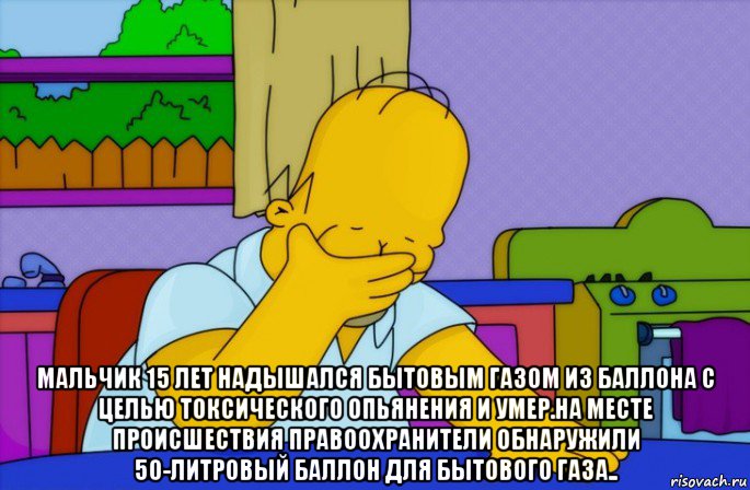  мальчик 15 лет надышался бытовым газом из баллона с целью токсического опьянения и умер.на месте происшествия правоохранители обнаружили 50-литровый баллон для бытового газа.., Мем Homer simpson facepalm