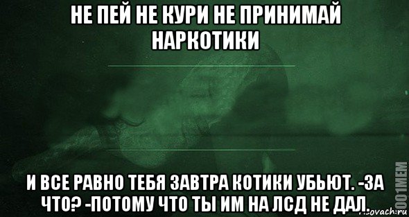 не пей не кури не принимай наркотики и все равно тебя завтра котики убьют. -за что? -потому что ты им на лсд не дал., Мем Игра слов 2