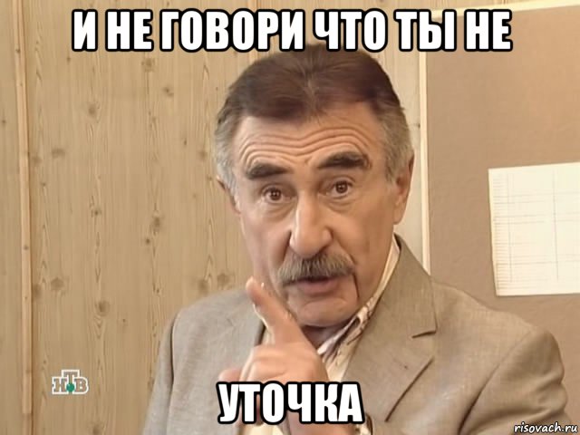 и не говори что ты не уточка, Мем Каневский (Но это уже совсем другая история)